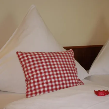 Hotel Metzgerei Moselgasthof Andries Mesenich Zewnętrze zdjęcie